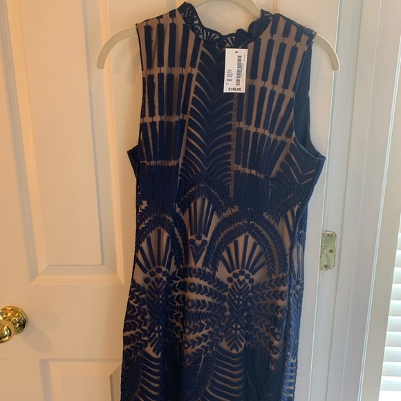 Tan and Navy Cocktail Lace dress! - Picture 1 of 4